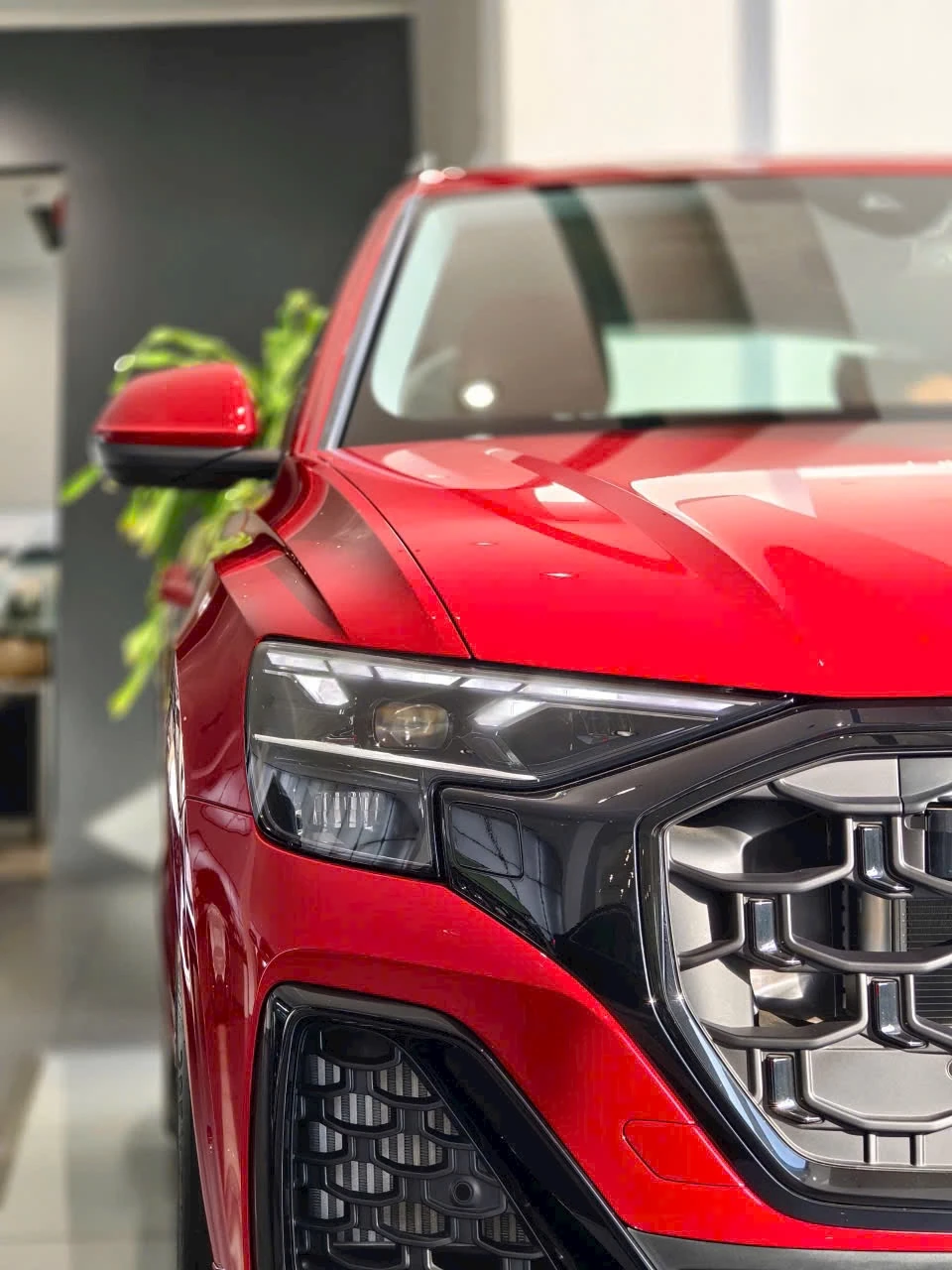 Audi Q8 S Line - Ảnh 12