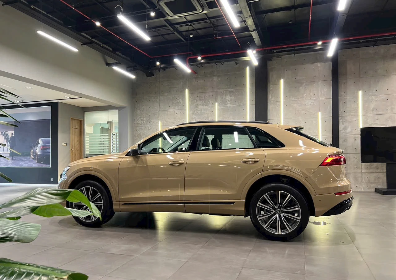 Audi Q8 S Line - Ảnh 24
