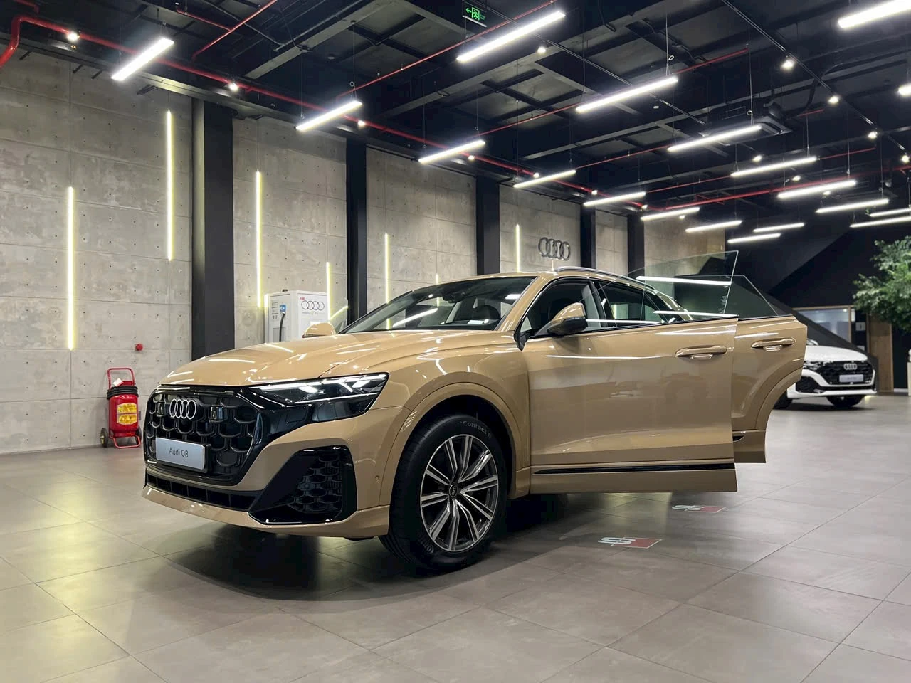 Audi Q8 S Line - Ảnh 33