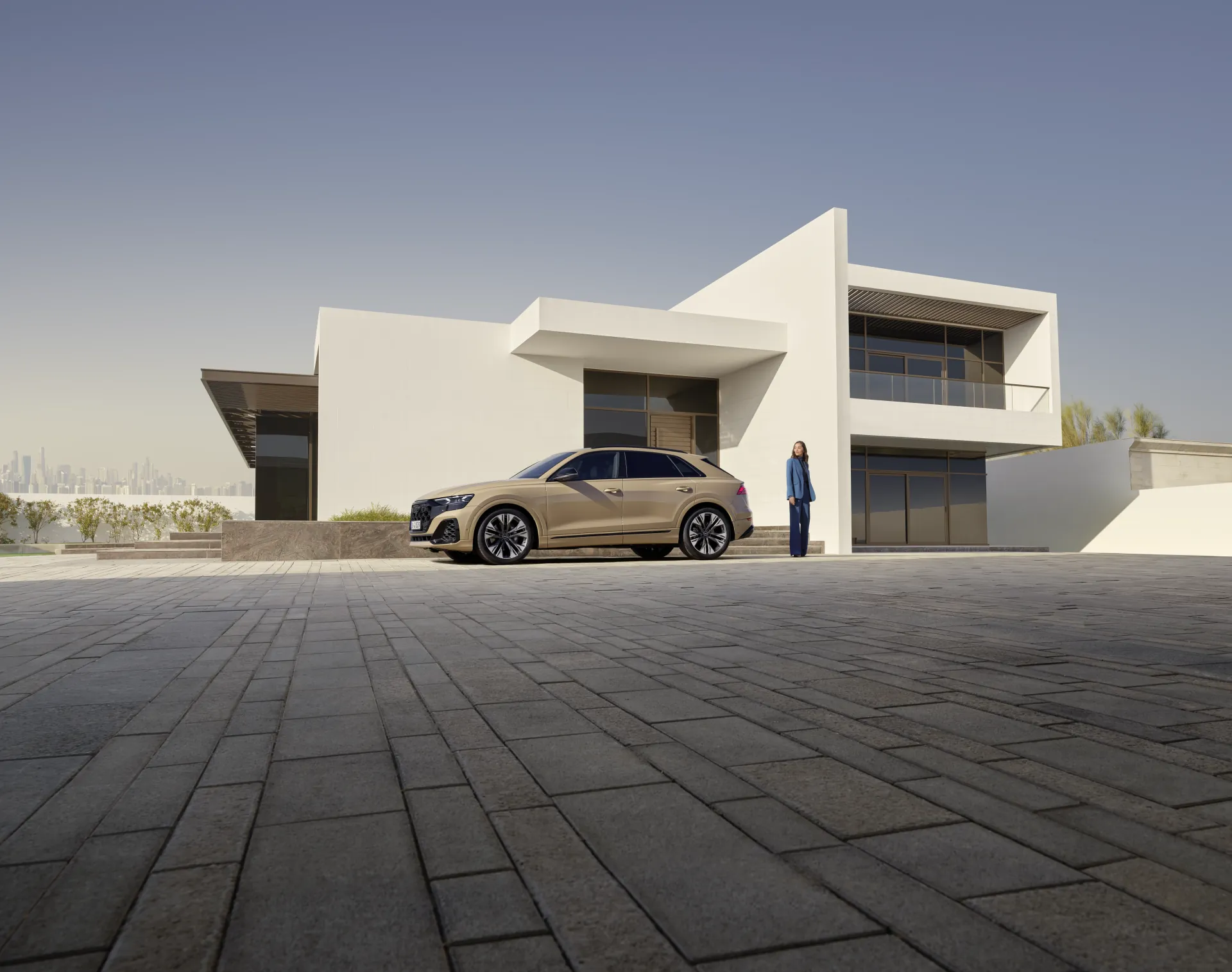 Audi Q8 S Line - Ảnh 4